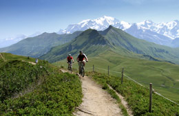 Aletsch glacier Wallis